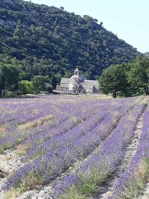 Bastidon Plein Sud Holiday home *