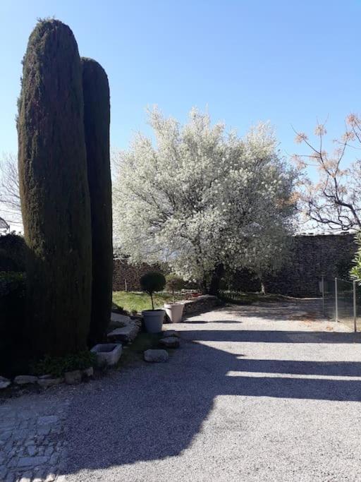 Bastidon Plein Sud * Gordes